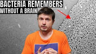 Bacteria Are Forming Memories With No Brain or Neurons