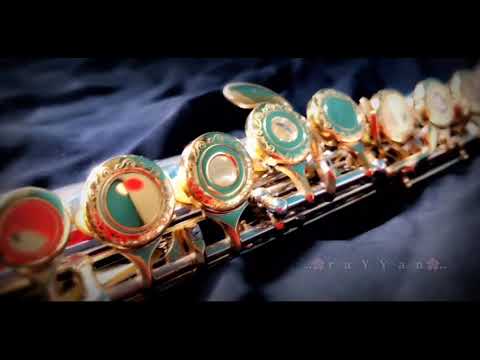 Yamaha 584 Custom Z Flute review