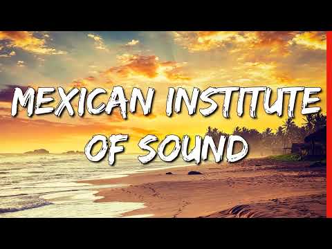 El Antídoto ft. La Perla - Mexican Institute Of Sound (Letra)