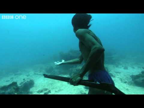 Sea Bed Hunting On One Breath - Hunter fishes underwater for five minutes