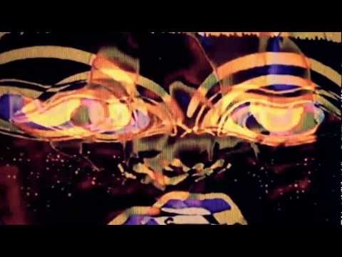 Crookers - Dr Gonzo Anthem (ft. Carli)