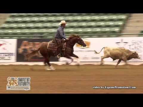 That Cats On Fire ridden by Chris Dawson  - 2016 NRCHA Snaffle Bit Futurity (Cow-Open Prelims)