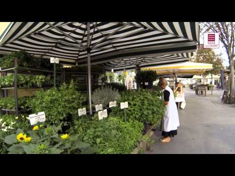 Genuss Region Österreich -  Bauernmarkt Kaiser Josef Platz kurz
