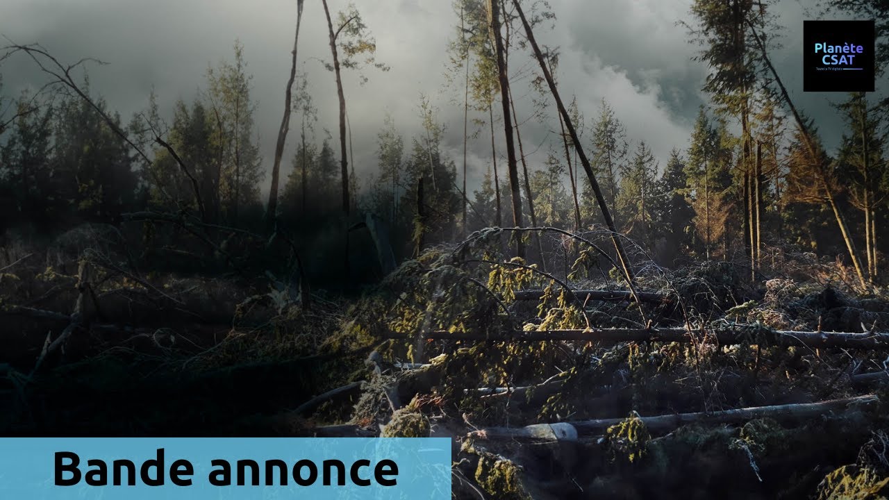 youtube video id=OtvWW6NPWt4