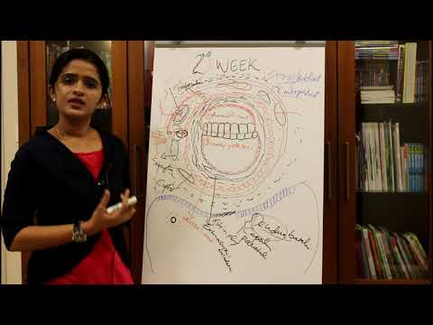 GENERAL EMBRYOLOGY THE  SECOND WEEK OF HUMAN DEVELOPMENT - DR ROSE JOSE MD DNB MNAMS