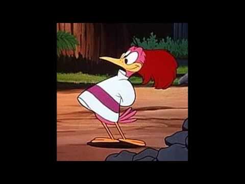 Aracuan Pinto Colvig original