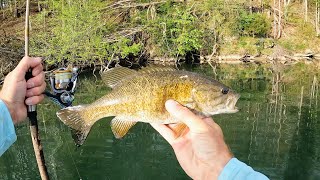Keep It Simple Worm Fishing | Catch TONS of Fish with Red Worms