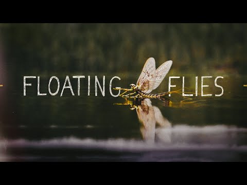 Floating Flies | Dry Fly Documentary 2020
