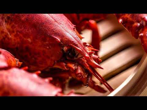 Music Mix by Lobster - The Last Mix - Volume 03