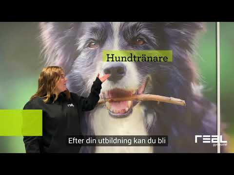 Realgymnasiet i Uppsala!