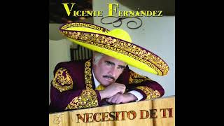 Vicente Fernández - Gracias (Cover Audio)