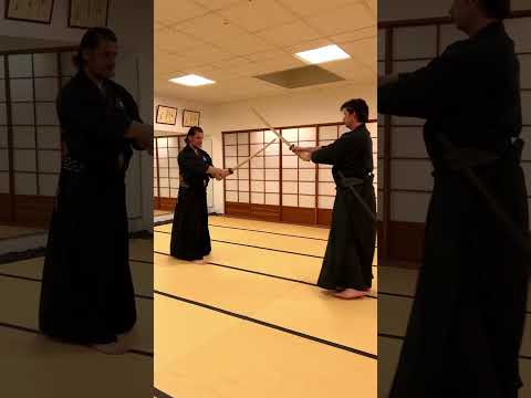 Mugai Ryu - Kenjutsu Kata Kasumi