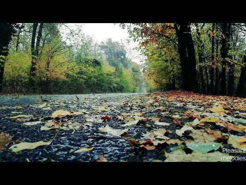 Chopin - Spring Waltz with rain sound