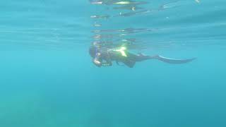 preview picture of video 'Freediving 101'