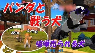 【ドッグシュミレーター】パンダと戦う犬。そして喧嘩売られる犬。【Dog Simulator】