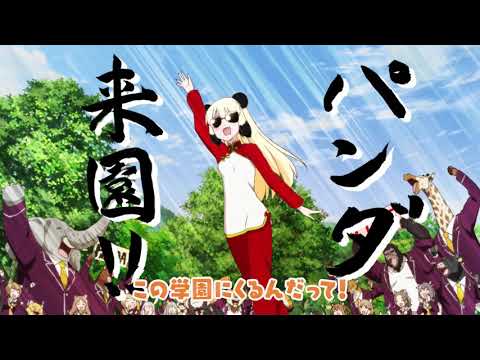 TVアニメ「群れなせ！シートン学園」6話予告