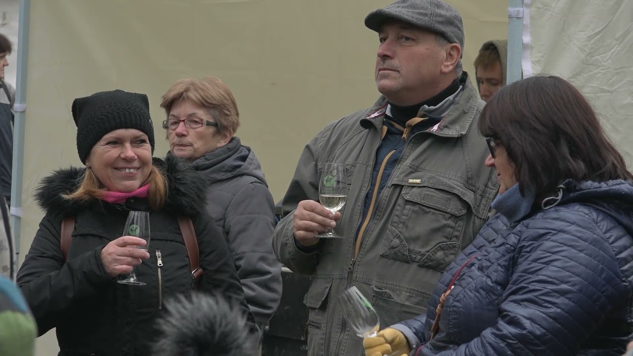 náhled z videa Na víno s Martinem