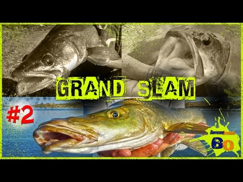 PESCA BASS LUCIOPERCA BARBO (2/2) | BASS ZANDER BARBEL FISHING Jerkbait Spinner Worms | 2017 | HD