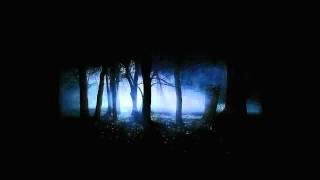 Ice Ages - Essential Loss