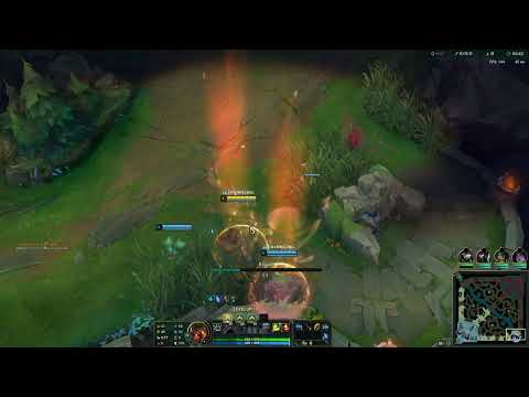 Zeitnot Makes a Statement About the Twitter Incident :D l League Of Legends