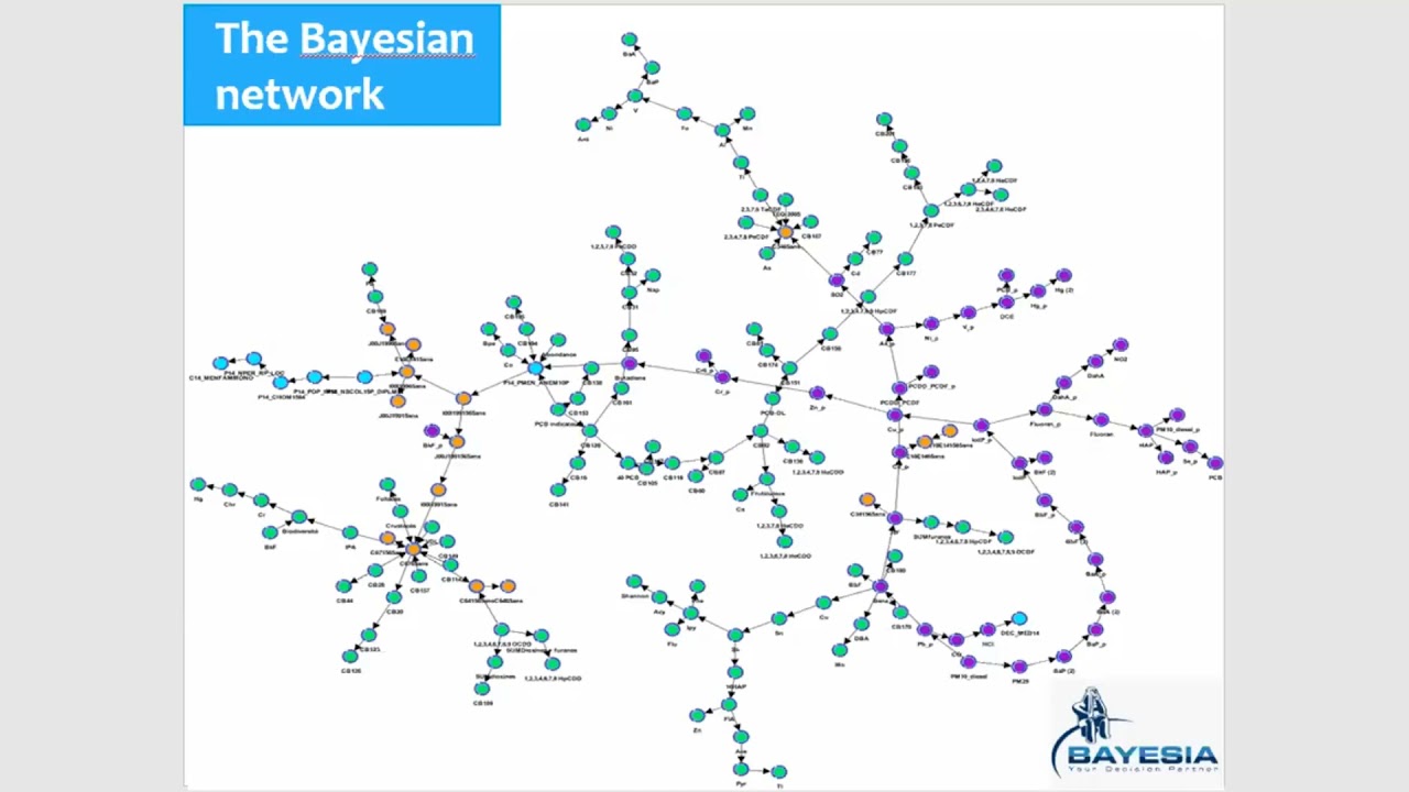Using Bayesian Networks for Environmental Health Risk Assessment