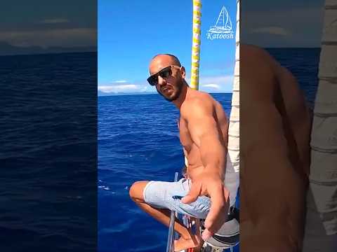 How does the Gennaker (spinnaker) sail work on the Katoosh?! #shots