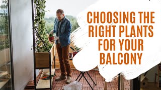Balcony Garden Series Episode 2: "Choosing the Right Plants for Your Balcony"