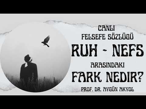 Ruh ve Nefs Arasındaki Fark | Ruh Nedir? Nefis Nedir? İbn Hazm – Kindi Müzakeresi