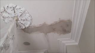 How we repair ,replace and re painting Georgian Ceilings and moulding