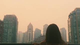 Grizzly Bear - Two Weeks lyrics