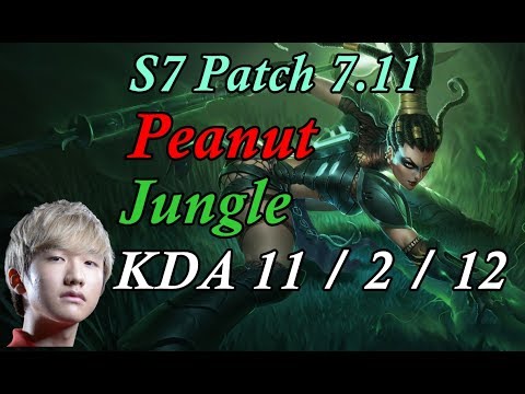 S7 Peanut   Jungle   Nidalee vs Lee Sin   KDA 11 / 2 / 12    Patch 7.11 KR ranked