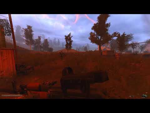 Anomalous Birds - Stalker Anomaly