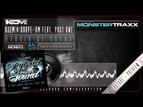 Dj eM & Karpe-DM Feat. Past One - Hybrid Of Sound
