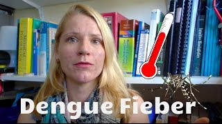 Dengue Fieber | Symptome und wann soll man zum Arzt?