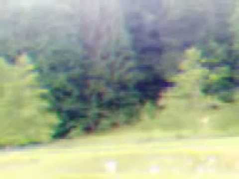 "Oameni" pe Bratia , Arges , Romania .