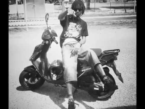 moustik -  mon arrivée