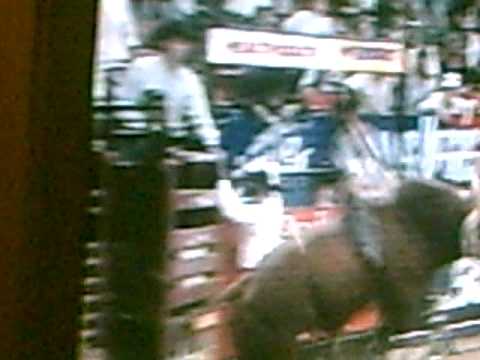 Ty murray on Red Wolf PBR Finals '99