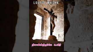 Download lagu Vazlikatum En Deivame Thunaiyaga Enilvarume/SPB Tamil Catholic songs/Whatsapp status mp3 Download lagu Vazlikatum En Deivame Thunaiyaga Enilvarume/SPB Tamil Catholic songs/Whatsapp status mp3