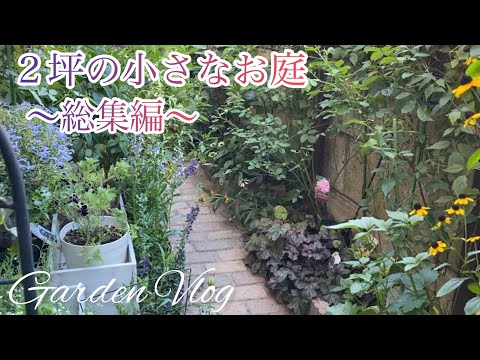 小さな庭用の木 トピックス