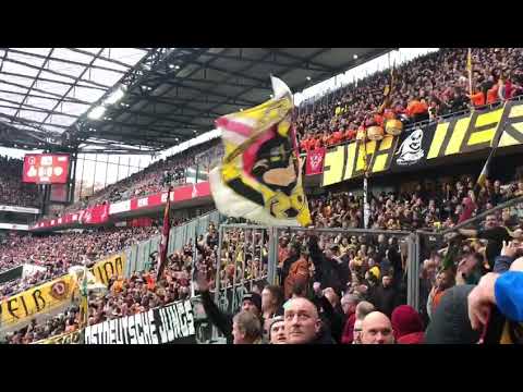 Dynamo Fans in Köln