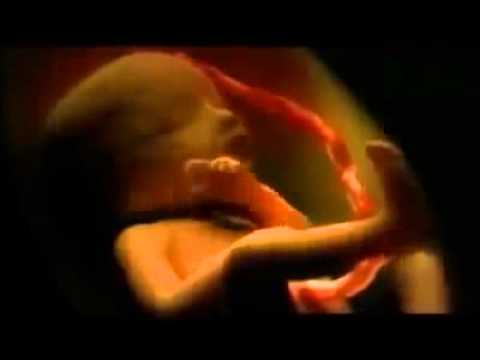 Admire the perfect creation of God