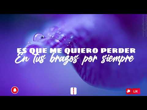 jay kalyl ft andy alemany y Samuel Ash - Demasiado amor (Letra)
