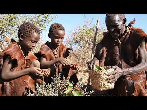 The Hadzabe's Future: Facing the Modern World | Challenges, Change & Survival