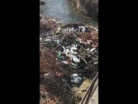 Dezastru ecologic , gunoaie la Ciclova Montana