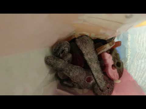 MongoTV_5266 - Del 1 - LIDL Haul 107 Kroner - SLIK - CHIPS - COLA - SAFTEVAND - OST