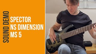 Video thumbnail for Spector NS Dimension MS 5 - Sound Demo (no talking) by Bass Bonedo