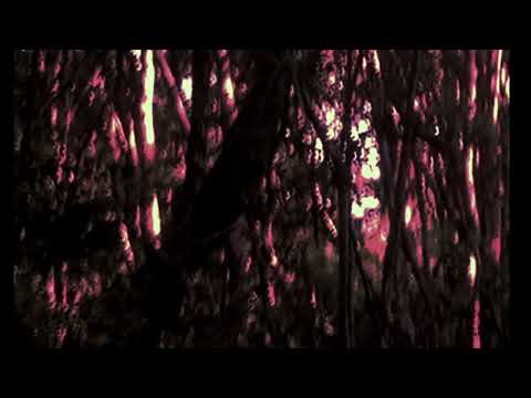 Bad Jelly Collective - D0MAiN (Music Video)