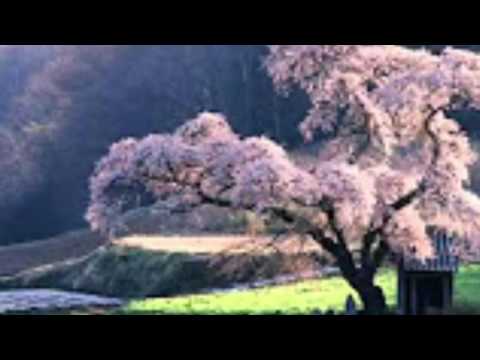 I'm Tired Of You Satan