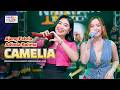 CAMELIA AJENG FEBRIA ADINDA RAHMA Ft OM NIRWANA LIVE MUSIC VERSI KOPLO