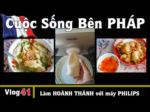 Making fresh WONTONS at home is easy with the PHILIPS machine - Life in FRANCE vlog #41